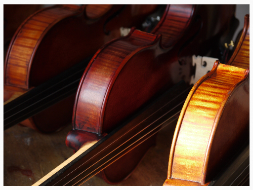Mehrere Violinen aus dem Geigenbaustudio finestrings